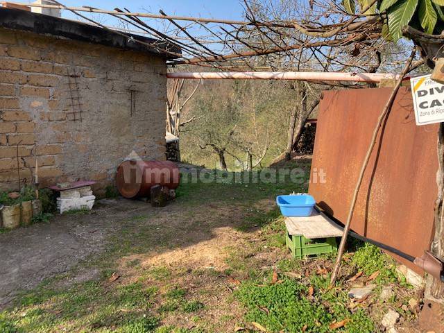 Terreno agricolo in Vendita - immagine 2 di 14