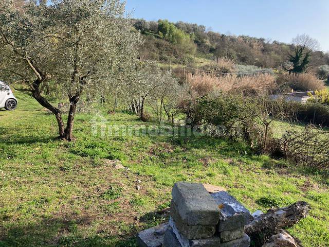 Terreno agricolo in Vendita - immagine 7 di 14